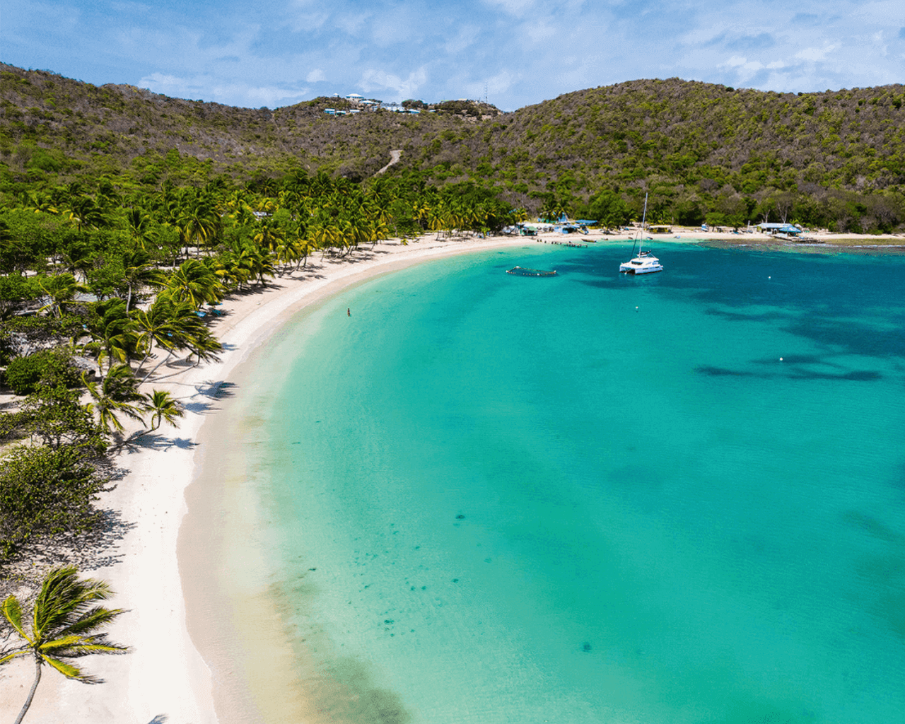 forêt, caraibes, martinique, croisière, catamaran