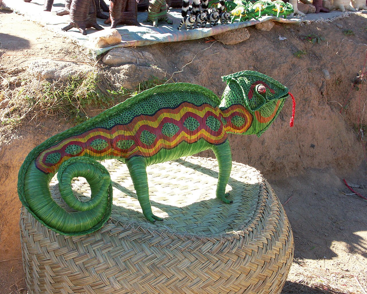 Voyages à Madagascar, Caméléon