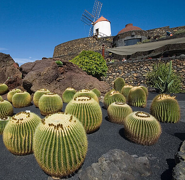 Voyage à Lanzarote, jardin de cactus