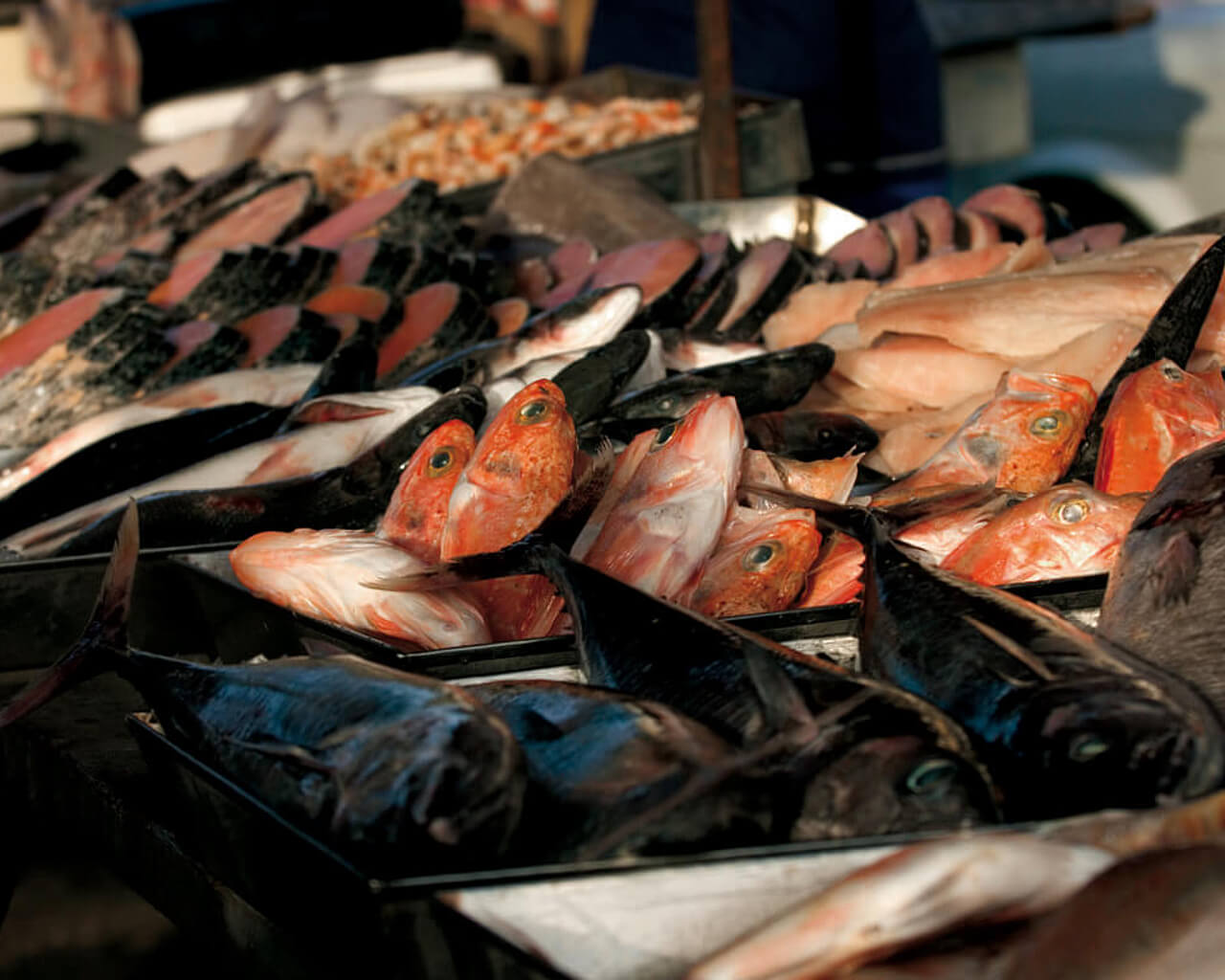 Gastronomie et Cuisine, île de Malte