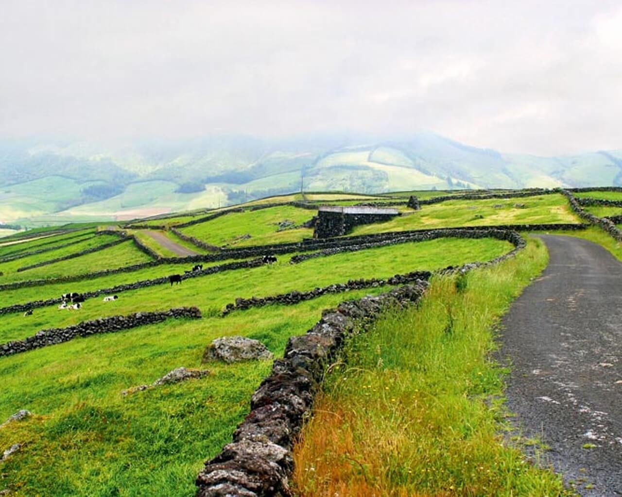 Paysage, Terceira