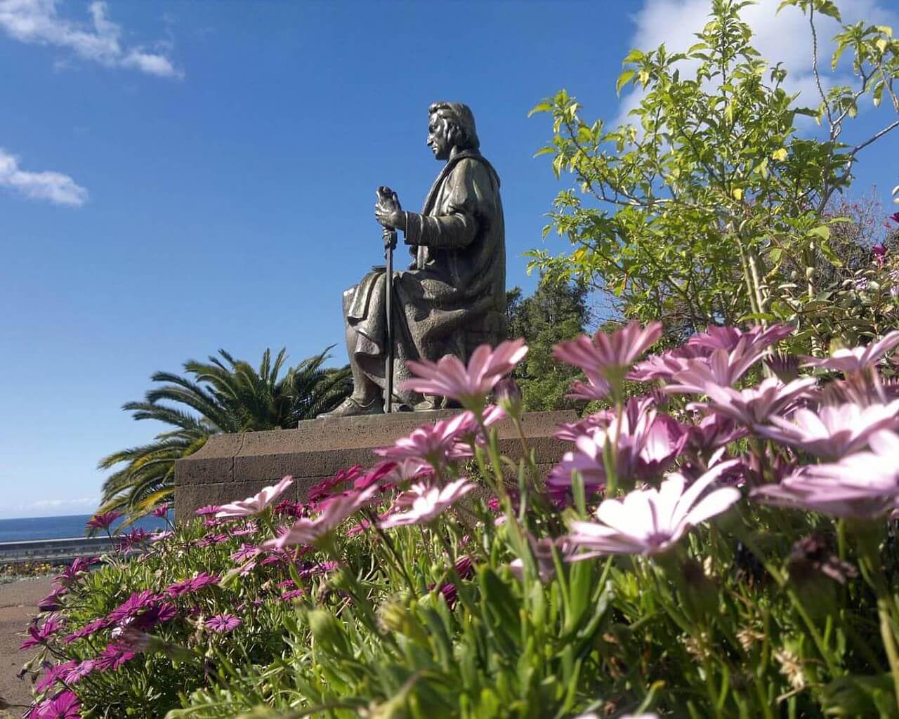 Voyages à Funchal, Madère