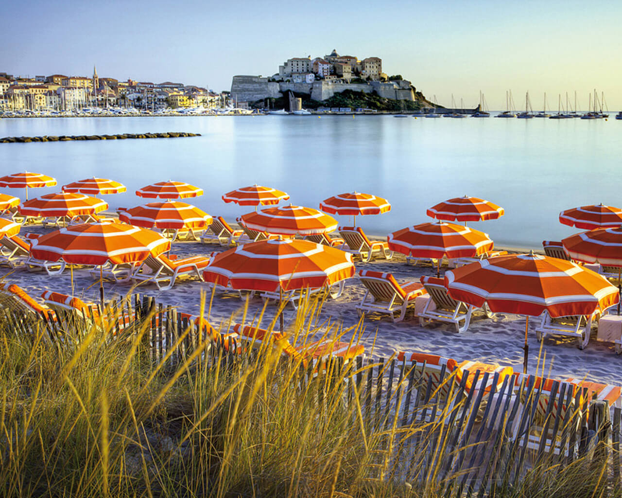 Voyage en Corse, à Calvi