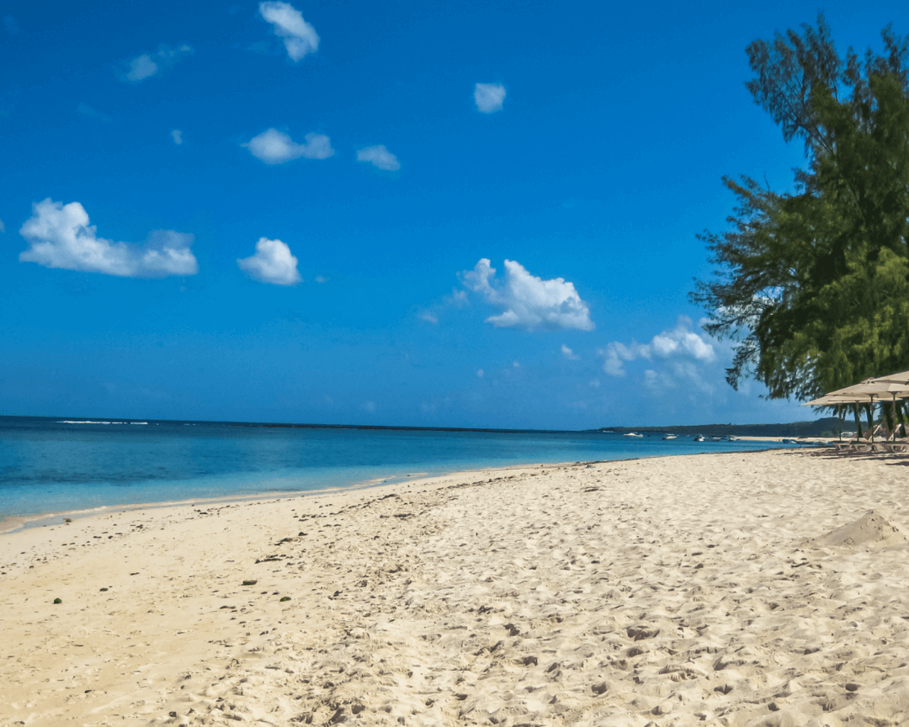 Flic en Flac, île maurice, plage, soleil, vacances