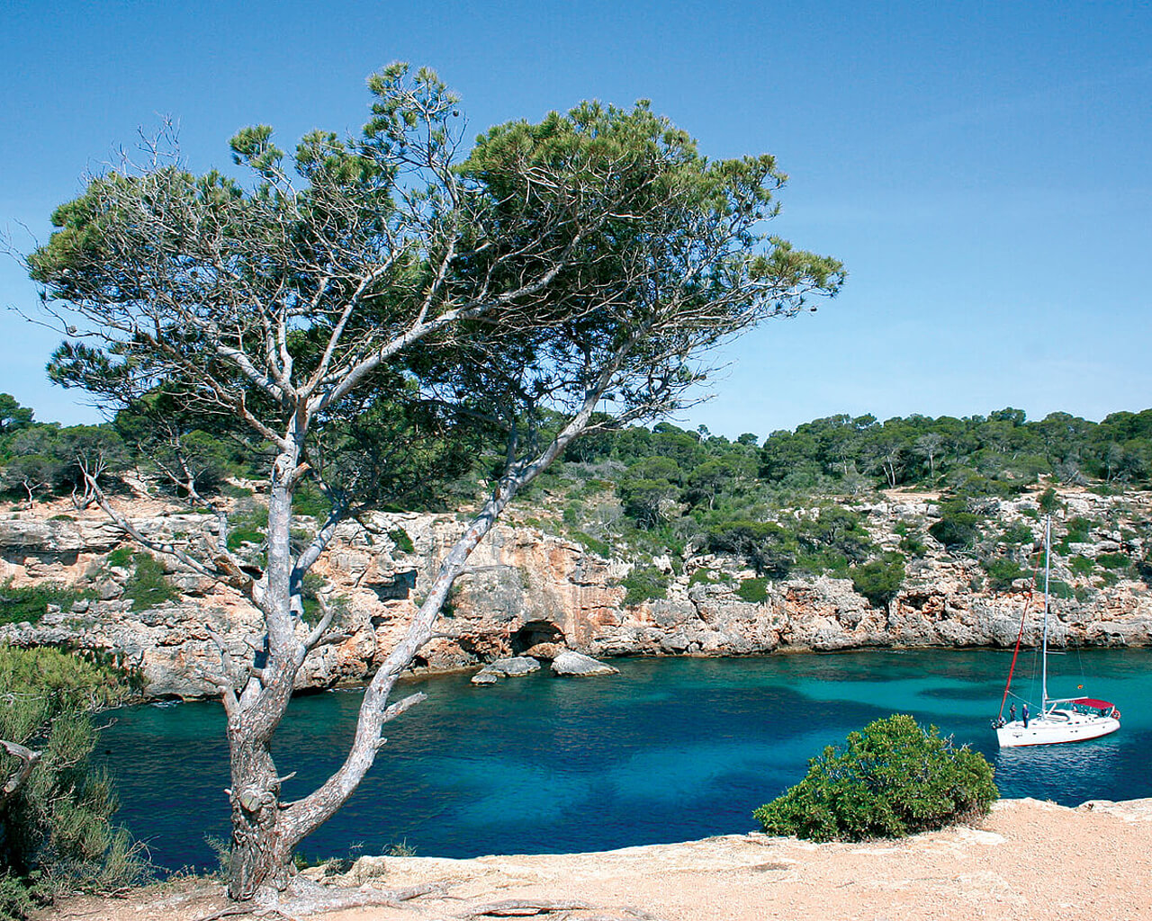 Voyages aux Iles Baléares, Majorque