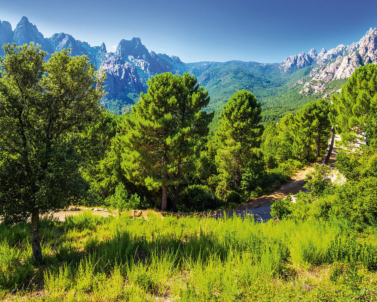 Séjours en Corse, Aiguilles de Bavella