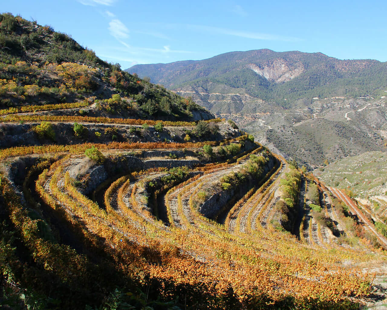 Circuit, Chypre, Troodos