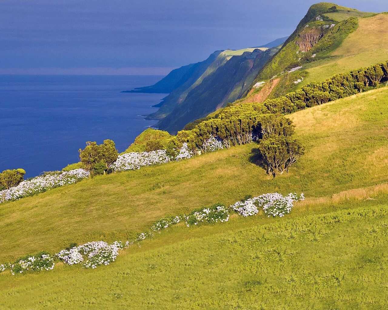 Circuits aux Açores, Sao Jorge