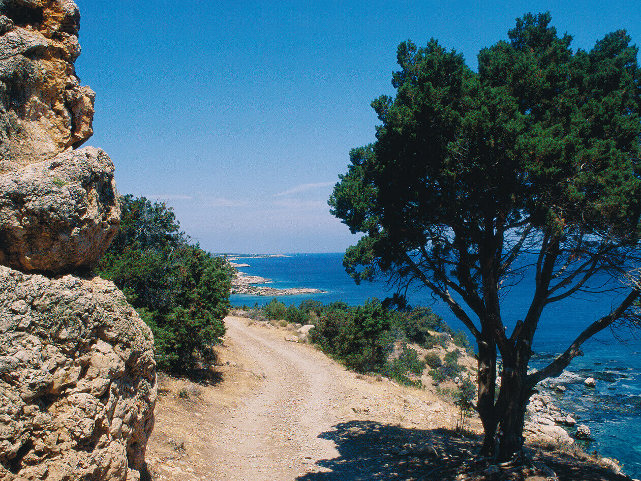 Autotour, Chypre