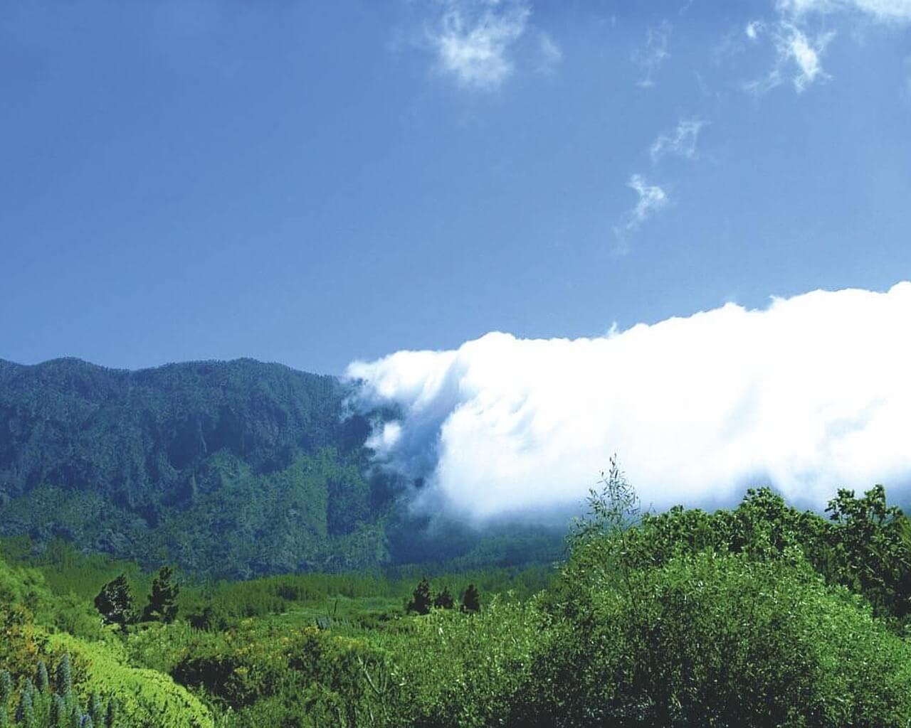 Voyages à La Palma, Canaries