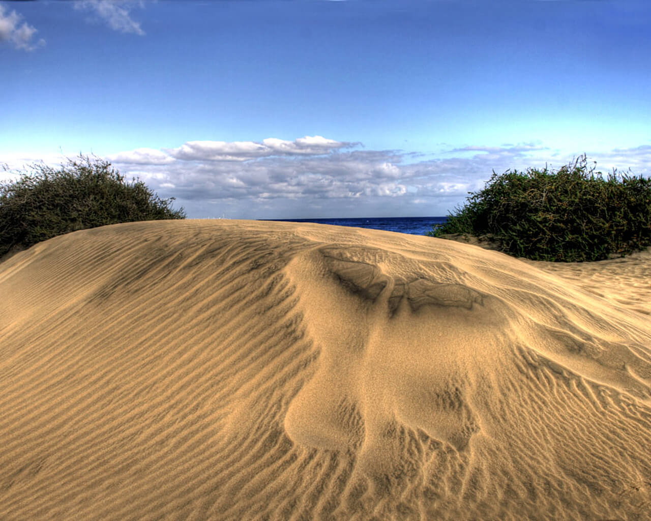 Voyages aux Iles Canaries, Grande Canarie, dunes de Maspalomas