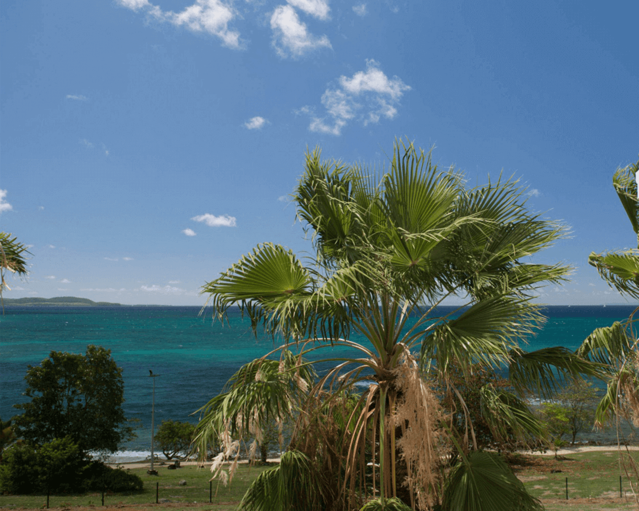 Voyage à Sainte-Luce, La Martinique, Caraïbes