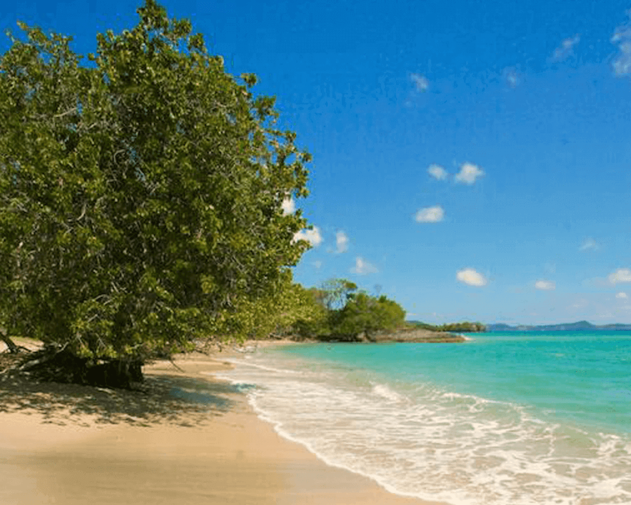 Voyage à Sainte-Luce, La Martinique, Caraïbes