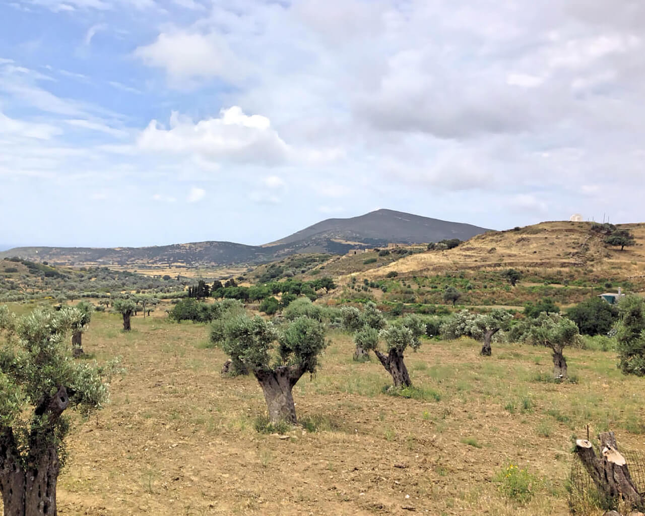 Séjour à Naxos, Cyclades, Grèce