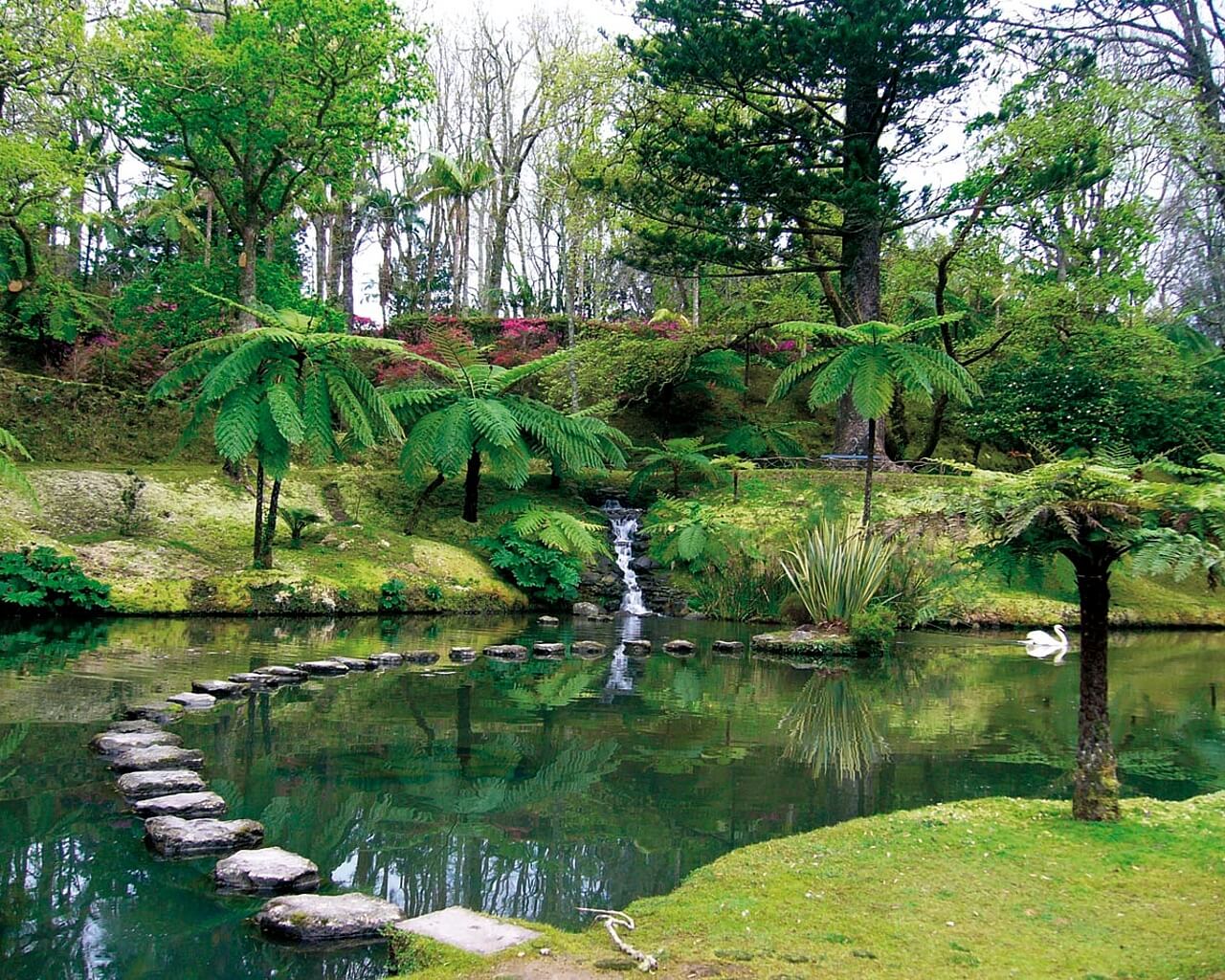 Açores, São Miguel, Parc Botanique Terra Nostra
