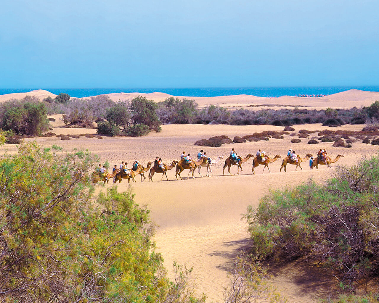 Voyage à la Grande Canarie, Maspalomas, Canaries