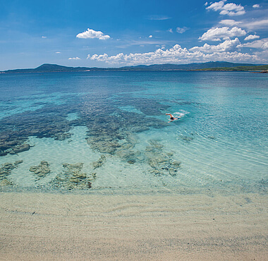 Pittulongu, Sardaigne