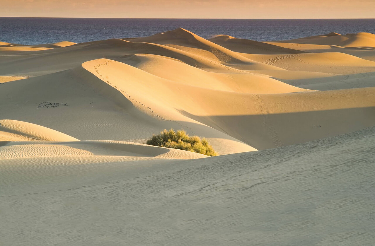 Canaries, Circuit, Grande Canarie, Maspalomas, Dunes