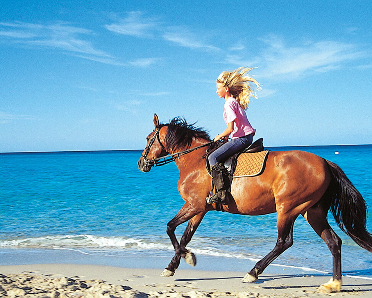 Voyages aux Iles Baléares, Majorque, cheval