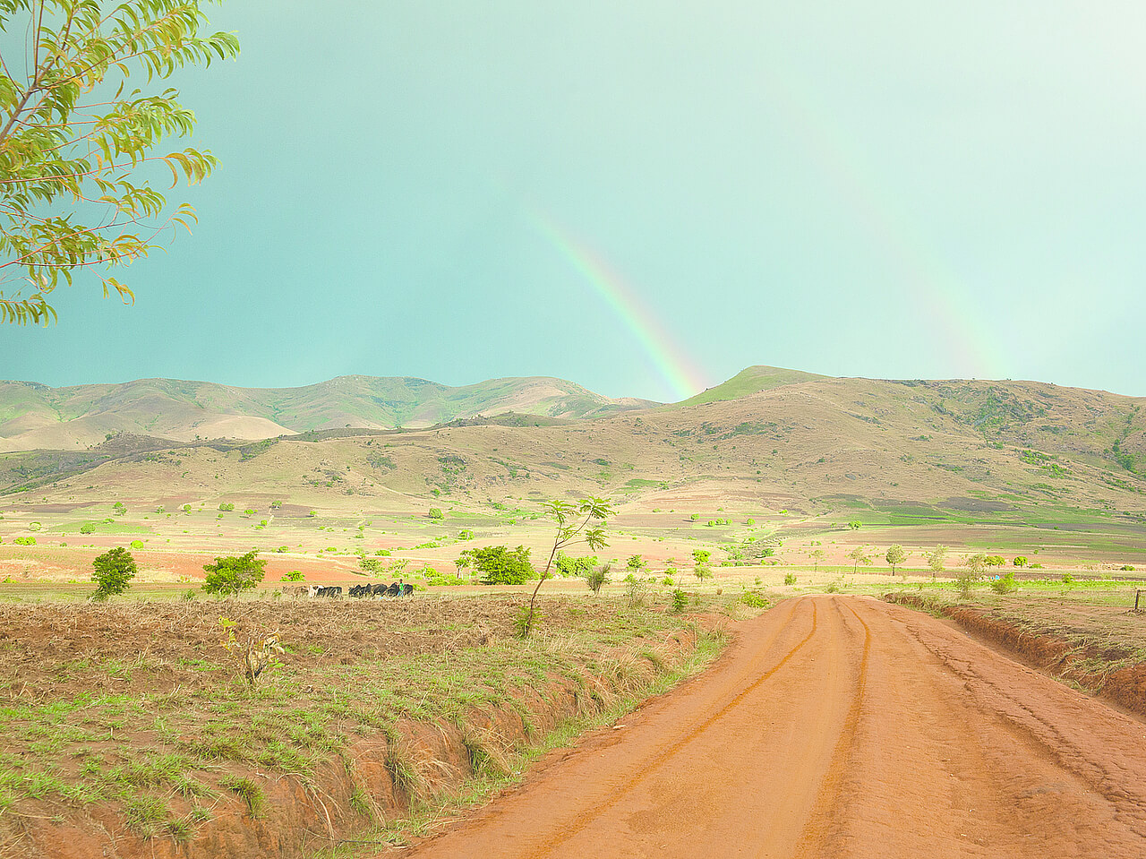 Circuits à Madagascar, route