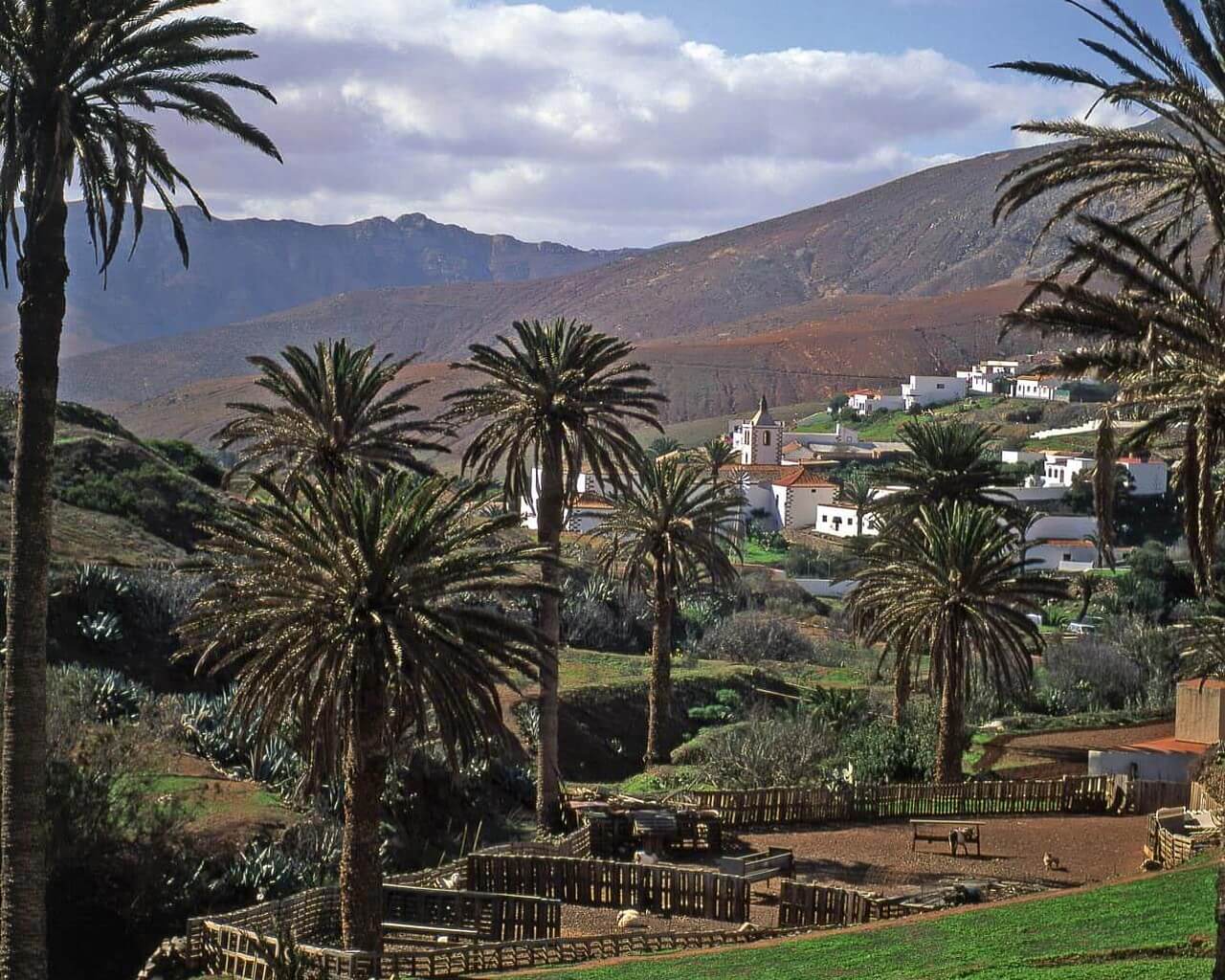 Fuerteventura aux Canaries