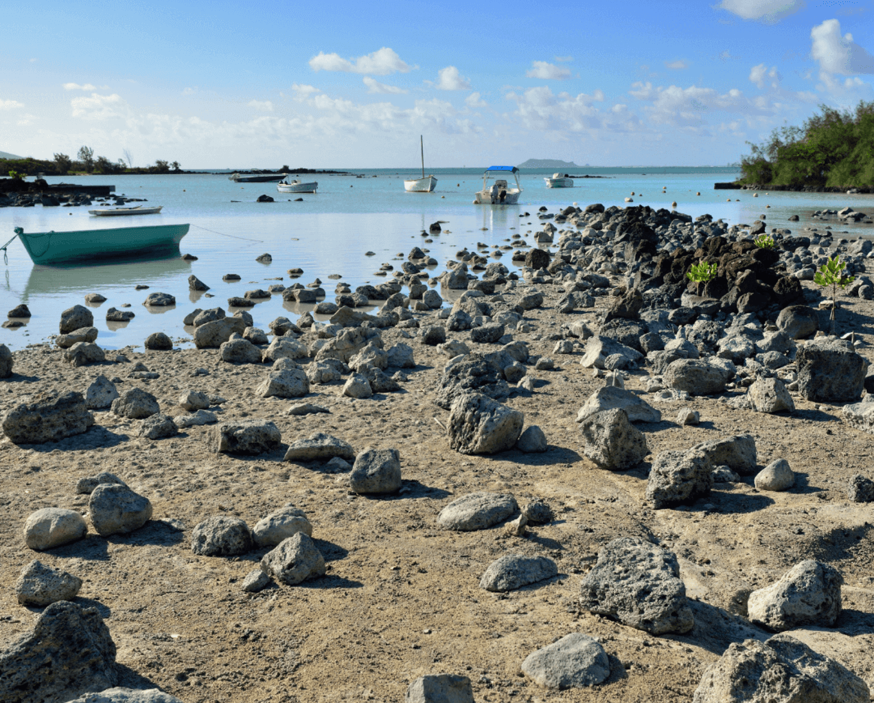 bel ombre, plage, voyage, maurice, ile 