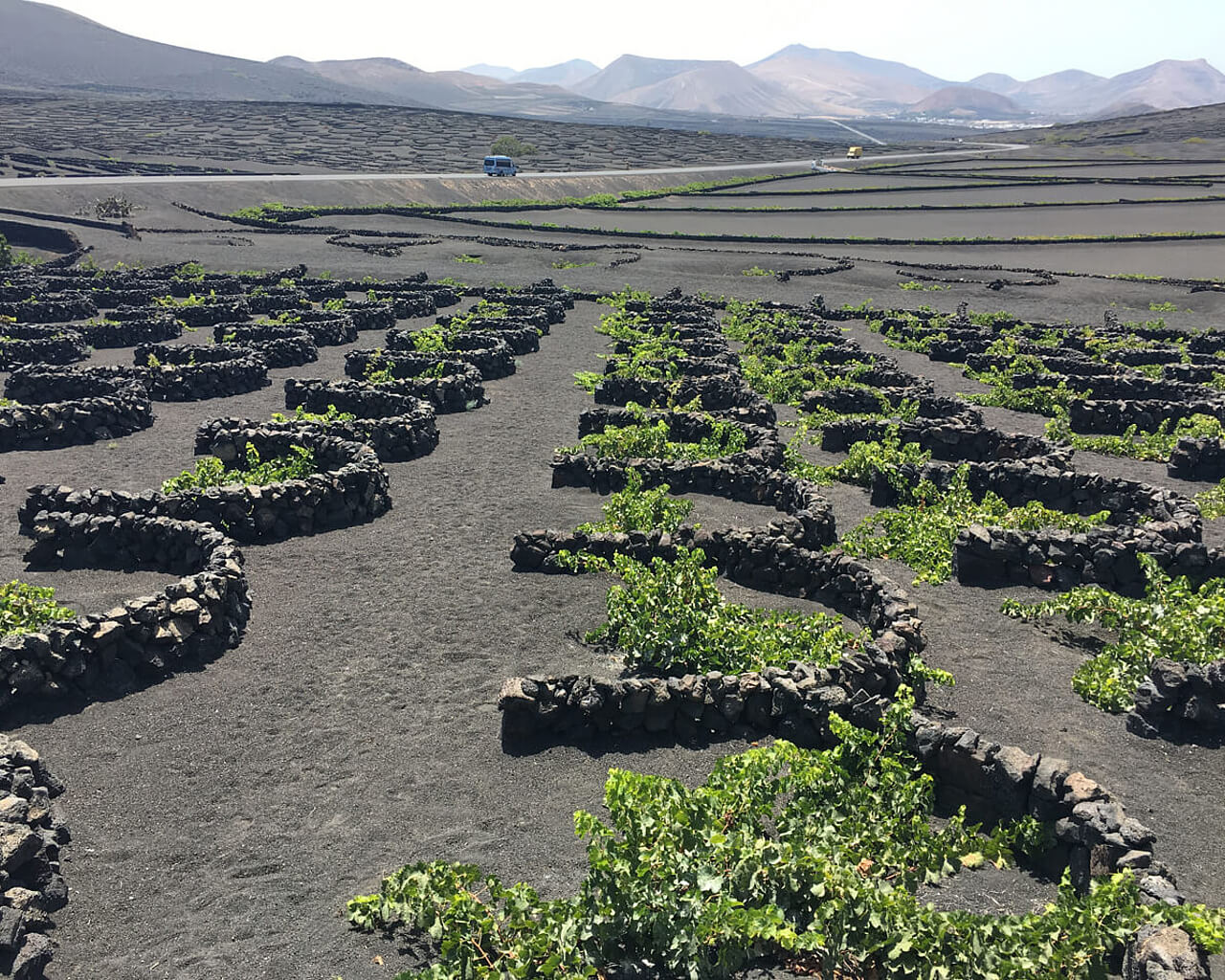 Voyages aux Canaries, Lanzarote