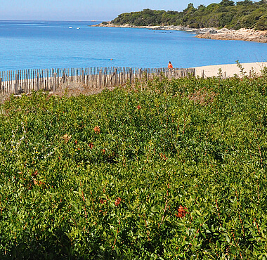 Propriano en Corse