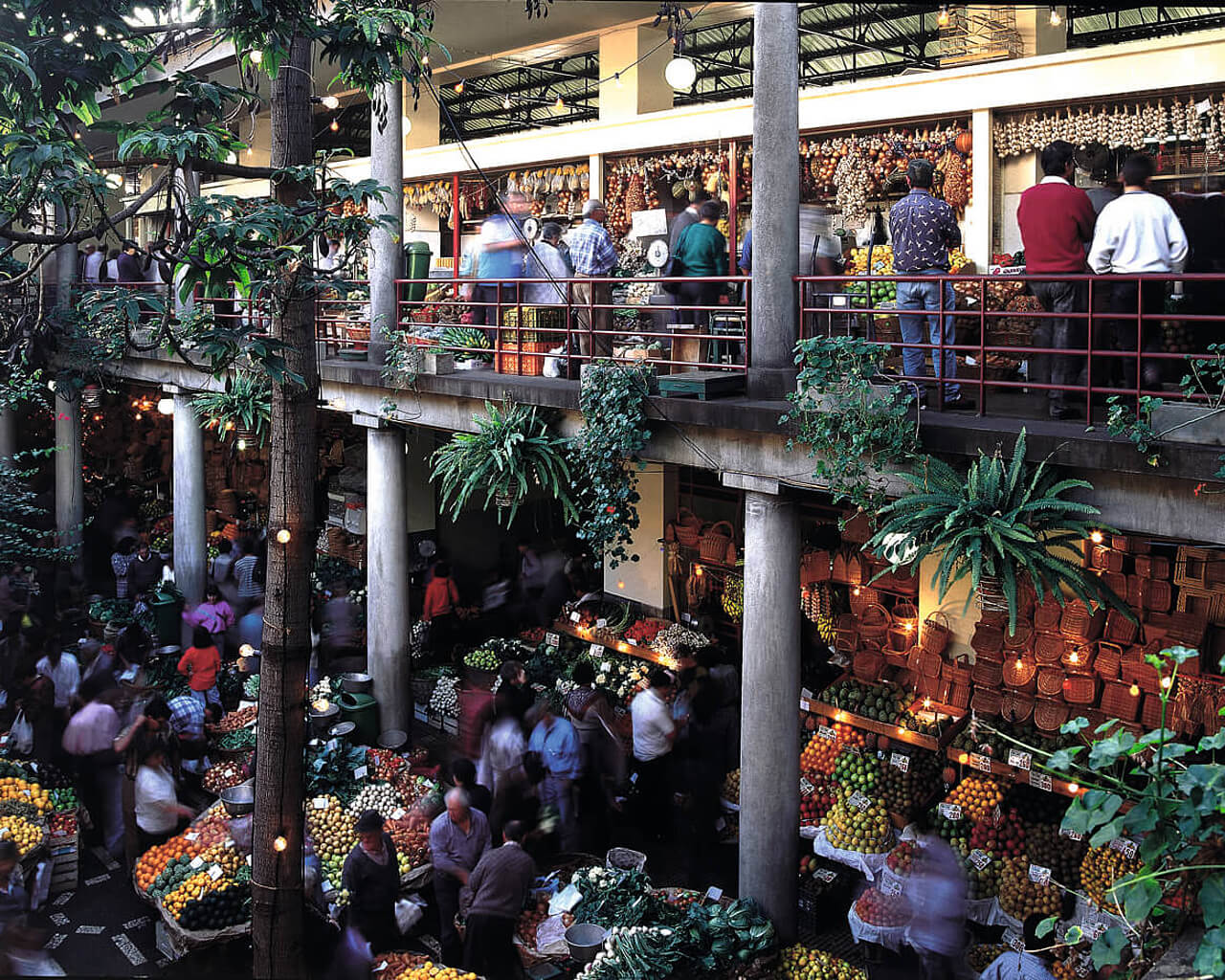 Voyages à Madère, Funchal