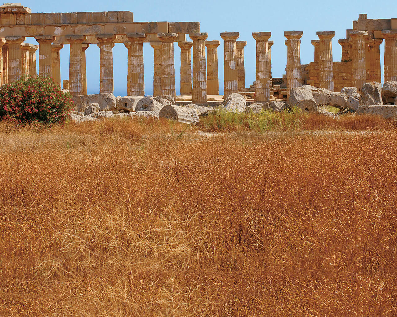 Circuits en Sicile, Selinonte