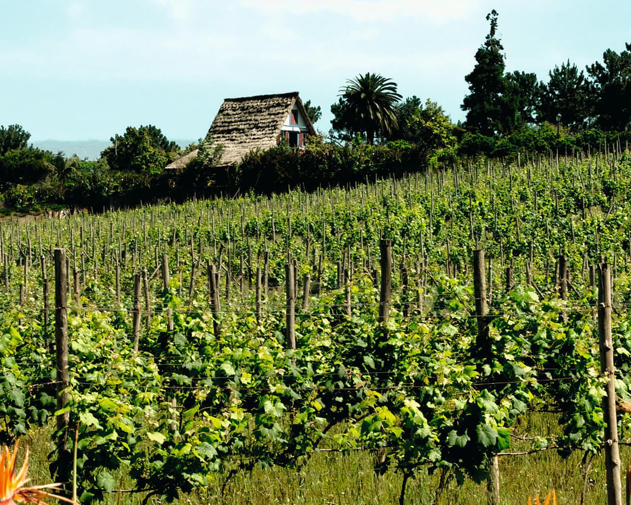 Séjour à Santana, Madère, Portugal