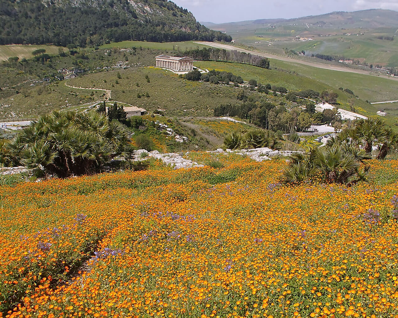 Séjours en Sicile, Agrigente