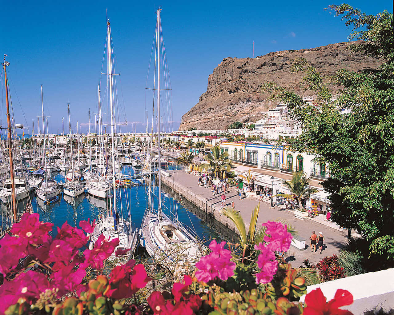 Voyages à la Grande Canarie, Canaries, Puerto de Mogan