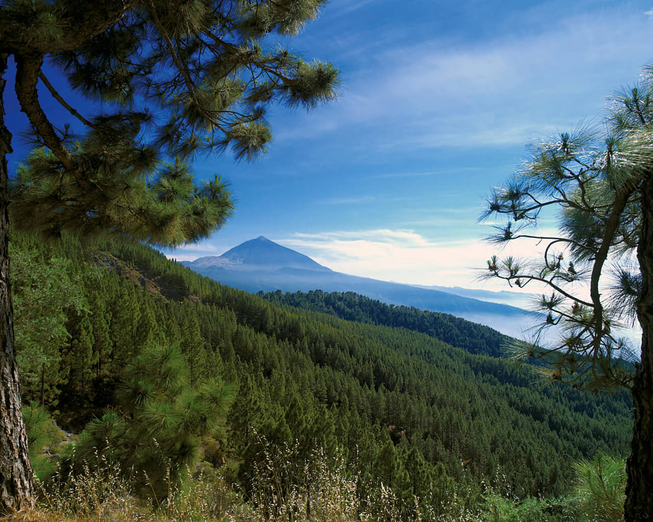 Voyages à Tenerife, Iles Canaries, Teide