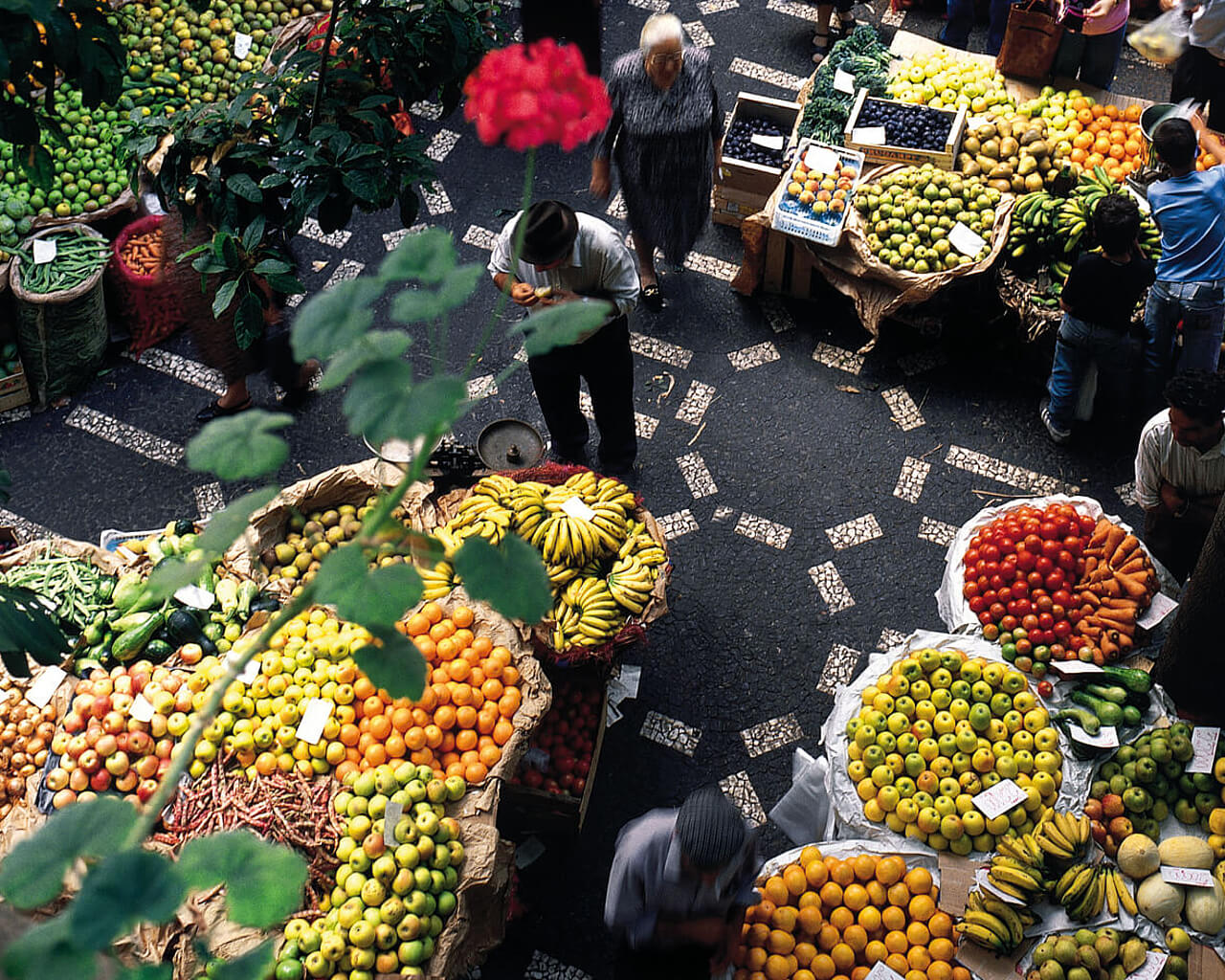 Voyages à Funchal, Madère, Portugal