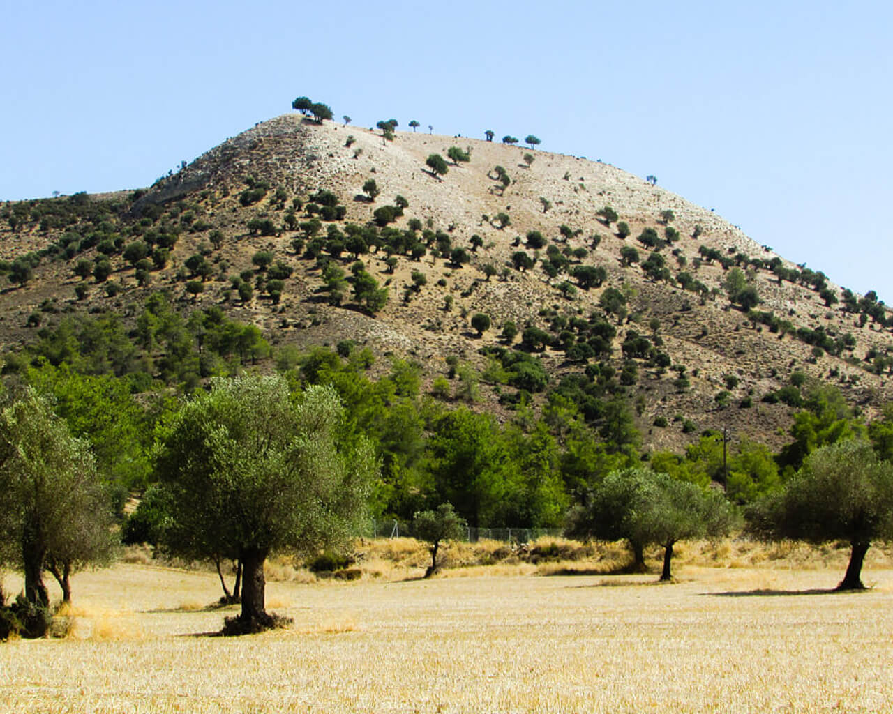 Voyages à Chypre, campagne