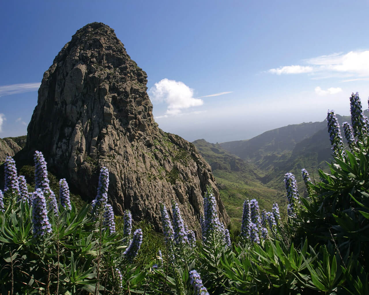 Voyages aux Iles Canaries, La Gomera, Garajonay