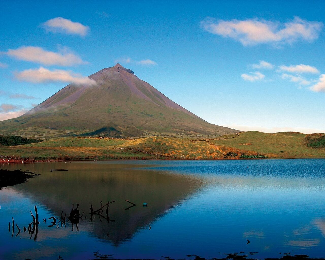 Circuit aux Açores, Pico